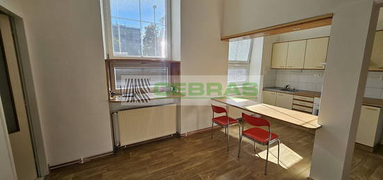 Pronájem bytu 2+kk 55 m²