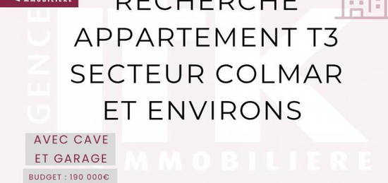 Colmar et environs - Recherche appartement T3 en bon état