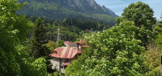 Apartament cu doua camere situat in Busteni