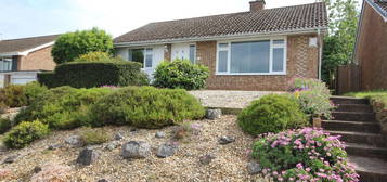 Detached bungalow to rent in Armstrong Avenue, Exeter EX4