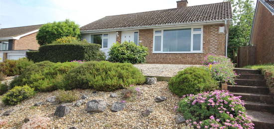 Detached bungalow to rent in Armstrong Avenue, Exeter EX4