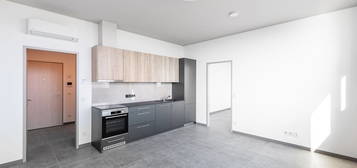 Pronájem bytu 2+kk 56 m²