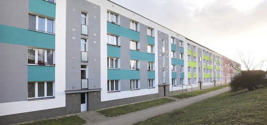 2+1 (67m2) ul. Školní, Kaznějov