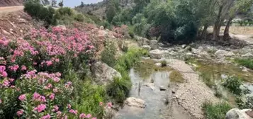 Finca r&#xFA;stica en Ardales