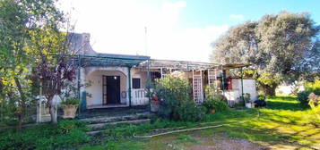 Villa in vendita a Belvedere- Sierri - Arrighi