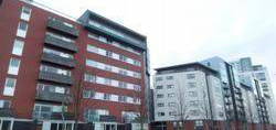 2 bed flat to rent