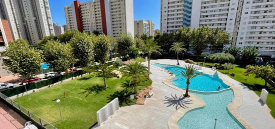 Apartamento en venta en Juzgados - Plaza de Toros