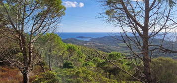 PANORAMICO TERRENO con Progetto Approvato per CASA