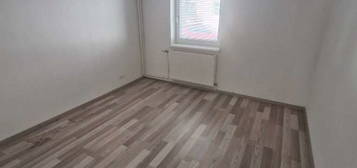 neu renovierte 2 Zimmer Wohnung inkl. Küche