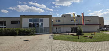 SENIORENWOHNUNG - sonnige 2-Zimmer-Wohnung in der Maria Theresia Siedlung (Eggendorf) - Top 1/8
