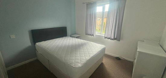 1 bedroom house share