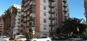 Viale santa panagia 4 vani e servizi