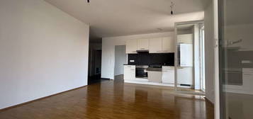Herrlich helle megacoole Singlewohnung, auch geeignet für Pärchen mit einer gigantischen Terrasse und einem Balkon in 8020 Graz zu mieten