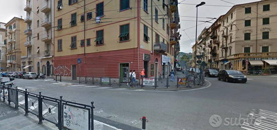 4 vani con ampio terrazzo in cetro spezia