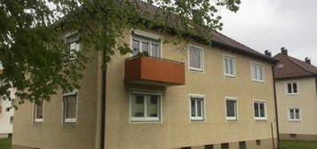 Neu-renovierte 2,5 Zimmer-Wohnung