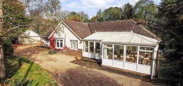 Detached bungalow for sale in Frenchmoor Lane, East Dean, Salisbury SP5