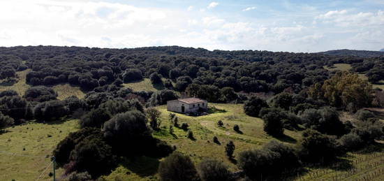 Casale via Alessandro Manzoni, Telti