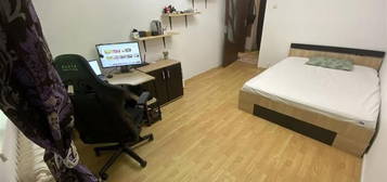 Apartament cu 1 camera, pet friendly, zona Metalurgie