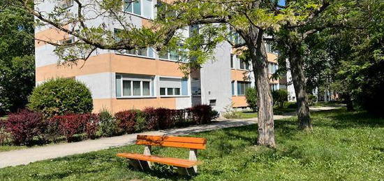 Komfortable und helle 3 Zimmerwohnung in grüner Parklage