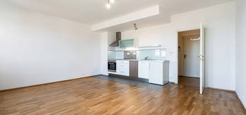 Pronájem bytu 1+kk 36 m²