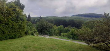 Haus mit unverbautem Waldblick