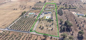 Quinta C/ 35.000m2 T3 + Anexo e Piscina - Ferreira do Alentejo