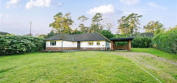 3 bed detached bungalow for sale