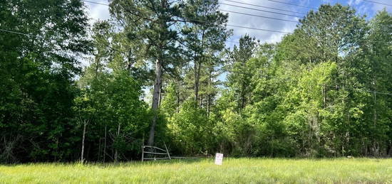 Lot 4 Hwy 24, Centreville, MS 39631