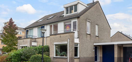 Pluviusstraat 13