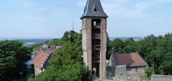 Geschmackvolle, gepflegte 2-Raum-Wohnung mit Balkon und EBK in Pfungstadt