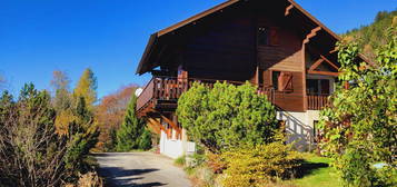 Chalet madrier