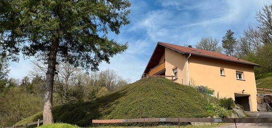 Maison recente a louer proche saint die des vosges