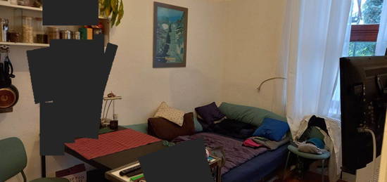 Untermieter für 1-Zimmer-Apartment in Köln Ehrenfeld gesucht!