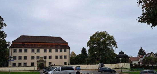 Stilvolle, gepflegte 4-Raum-Maisonette-Wohnung in Geislingen mit Blick auf die Burg Hohenzollern