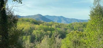 221 Woodland Rd Unit 104, Gatlinburg, TN 37738