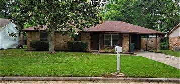 205 N Forest Dr, Willis, TX 77378