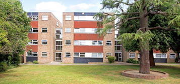 1 bed flat to rent