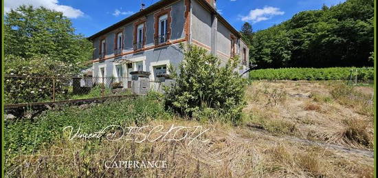 Dpt Nièvre (58), à vendre DUN LES PLACES maison P8