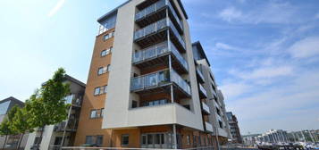 1 bed flat to rent