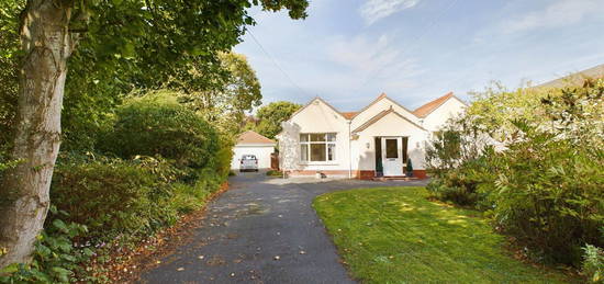 Detached bungalow for sale in Durleigh Road, Bridgwater TA6