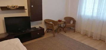 apartament 1 camera , zona linistita