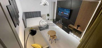 Apartament 1 camera Bucium--340 euro