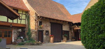 Charmante Propriété : Maison + Gite 13 personnes (classé 2 étoiles). Village d’Orschwihr, Alsace