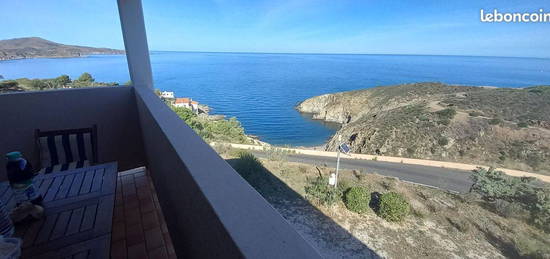 Appartement T2 Meublé vue mer à Banyuls sur mer