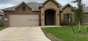 10217 Eaglefire Dr, Temple, TX 76502