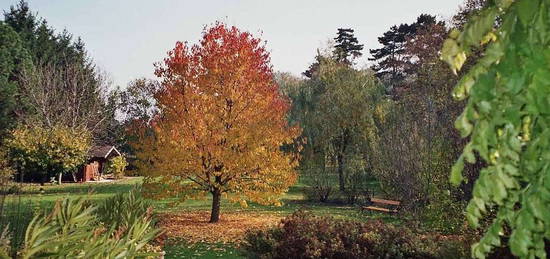 Zuhause im Paradies, EFH mit 2609 qm naturnahem Garten