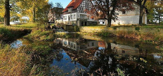 EIN Zimmerwohnung in Nordstemmen/Adensen. Direkt am Was