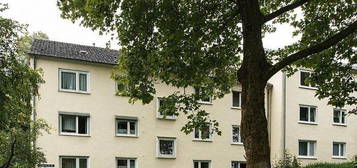 3-Zimmer-Wohnung am Rheinaue