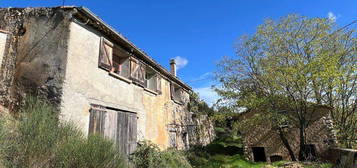 Maison avec terrain