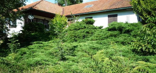 RUHELAGE - Großes Einfamilienhaus mit Doppelgarage in Semriach